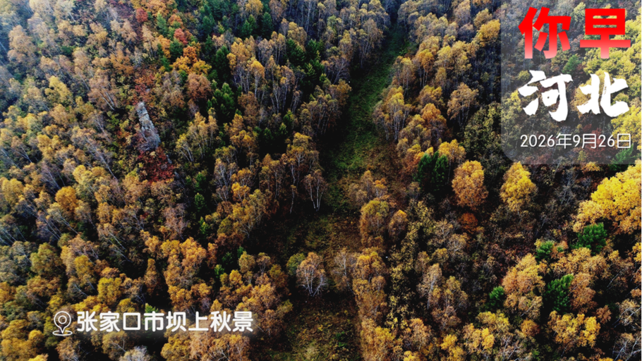 你早，河北｜去正定进入常山幻宴；雄商高铁9月28日开通；“金豆豆”为何突然下架；美伊被曝探讨阶段性协议