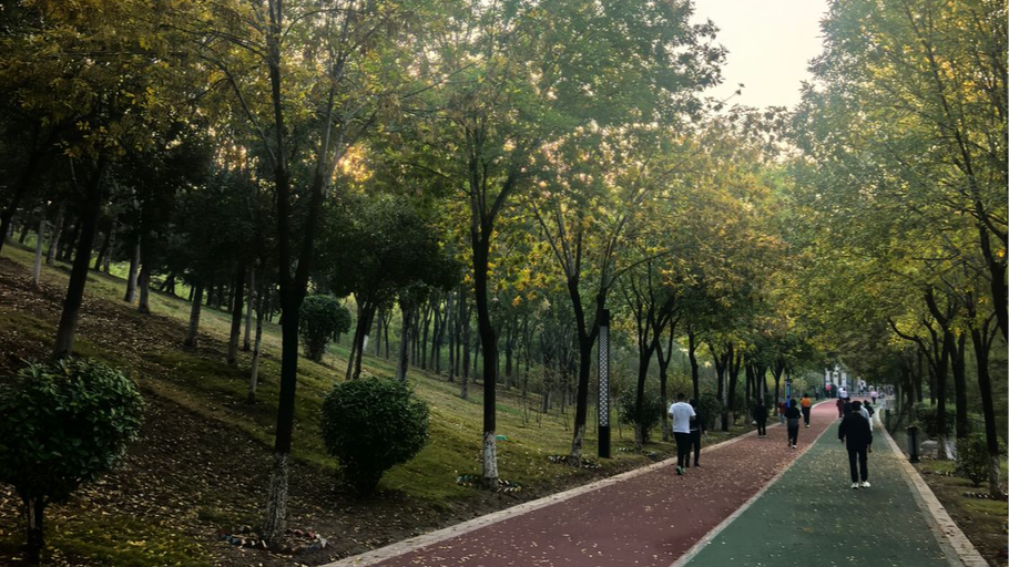 邯郸市南湖湿地公园的早晨