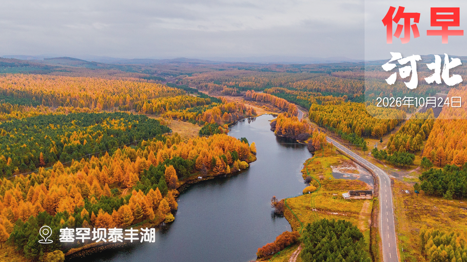 你早，河北｜去雄安寻找治理智慧；崇礼新雪季开板；黄金进入熊市了？俄乌停战迎曙光？