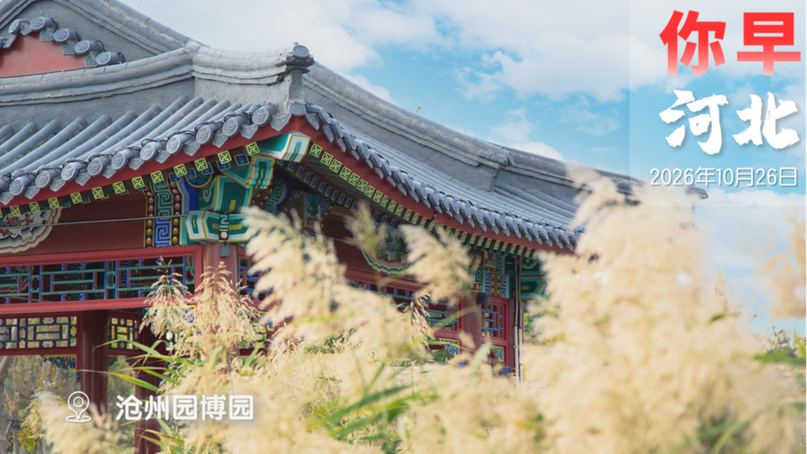 你早，河北｜寒潮来袭；国考过审人数7年首次回落；美军“趁着我们办喜事来上门添堵”；欧洲遭遇“愤怒之秋”