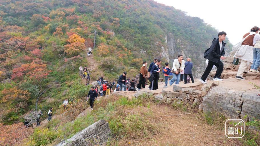 层林尽染惹人醉 佛照山红叶引客