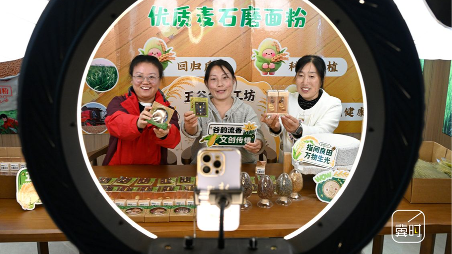 邯郸：谷物文创赋能乡村